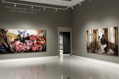 Esplendor De La Noche